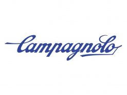 Campagnolo Record / Chorus 1 Inch Headset Bearings